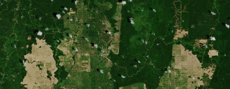 Aerial view of a palm oil plantation 